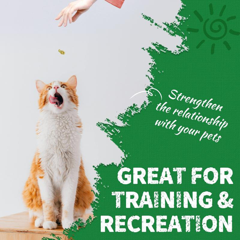 JUST TRY 13.4 OZ Cat Grass Treats Natural Salmon Flavor Healthy Cat Snacks Training Biscuits Catnip for Cats Dental and Hairball Control Treats